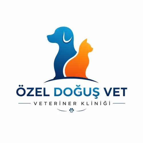 PET Tıraş